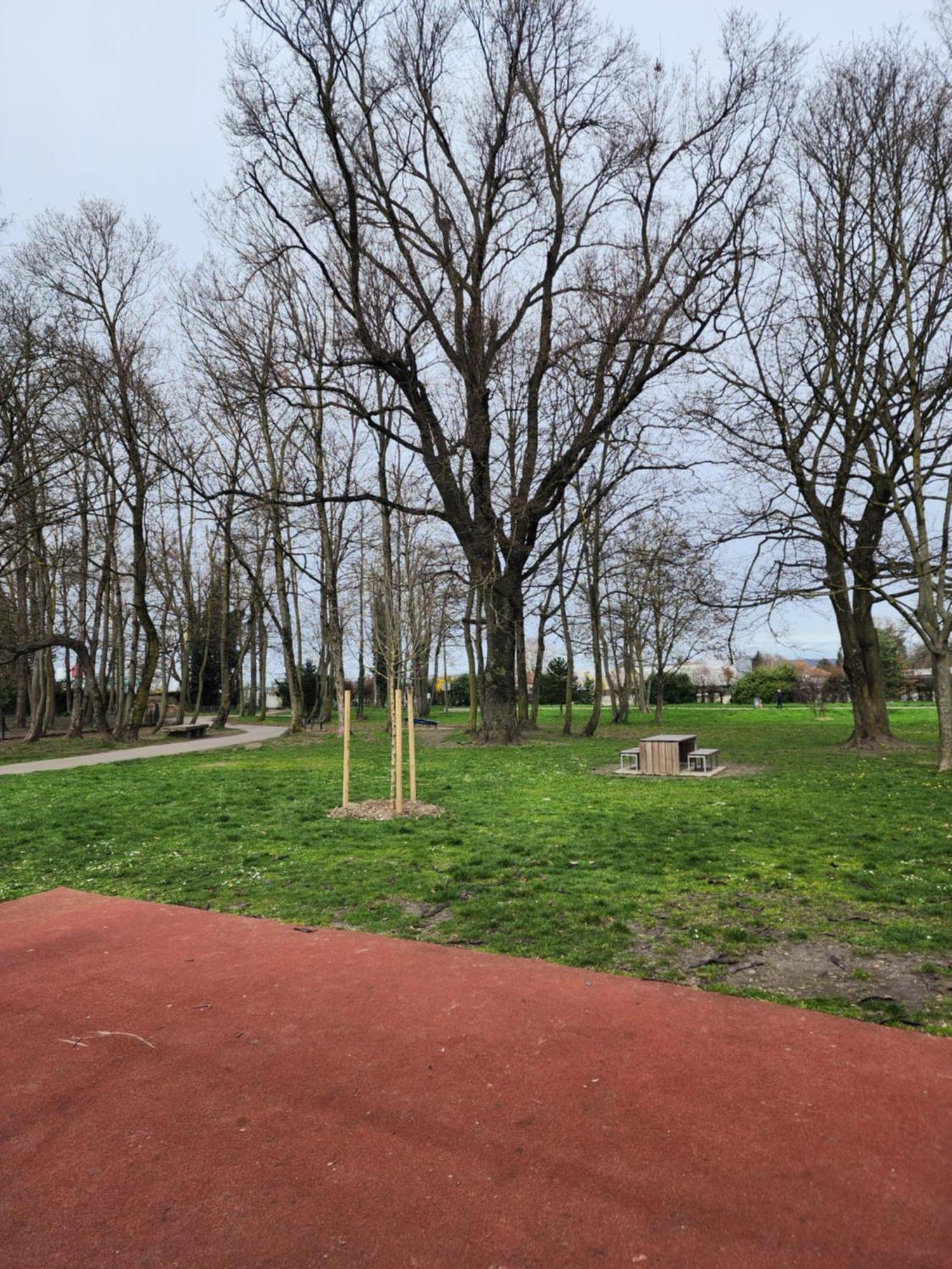 Bourgoin-Jallieu Agreable T2/Centre-Ville *10 Min Gare* מראה חיצוני תמונה